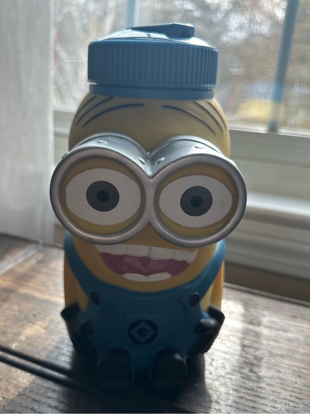 Universal‎ Studios Minion Despicable Me Water Bottle